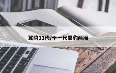 翼豹11代/十一代翼豹两厢