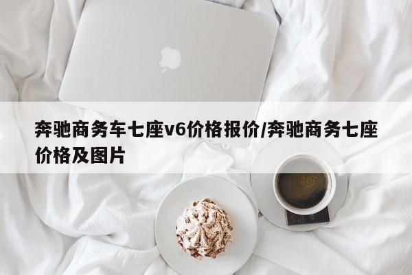 奔驰商务车七座v6价格报价/奔驰商务七座价格及图片