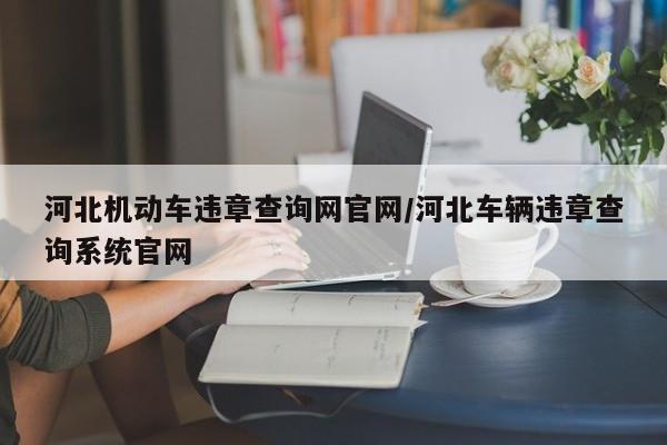 河北机动车违章查询网官网/河北车辆违章查询系统官网